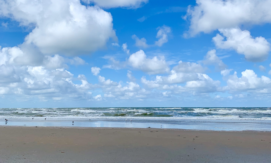 Beach near Amsterdam